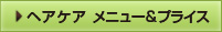 ヘアケアメニュー＆ ・ 